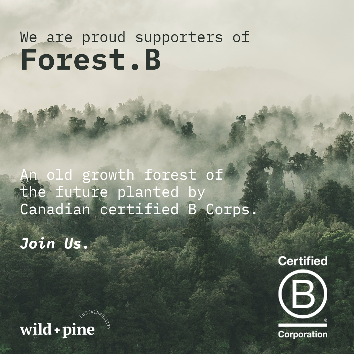 Ecotone Plants a Forest – Ecotone Software